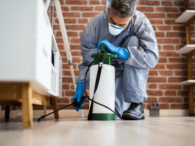 About Pigeon Control Systems Chesterfield - pigeon control systems experts in Chesterfield